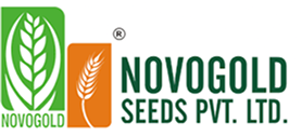 Novogold Seeds